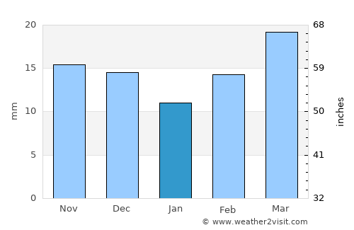 Newcastle average rain in January