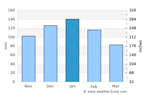 Newcastle average rain in January