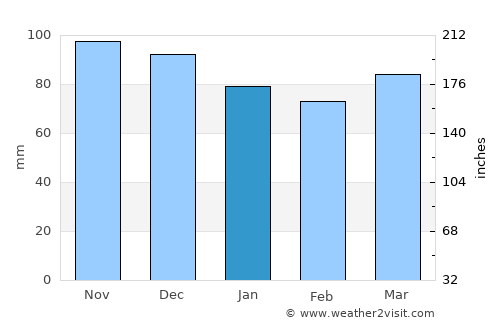 Newfane average rain in January