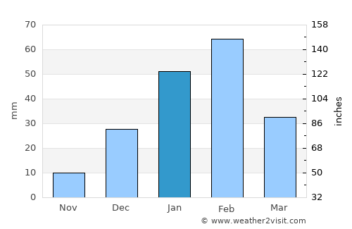 Newman average rain in January