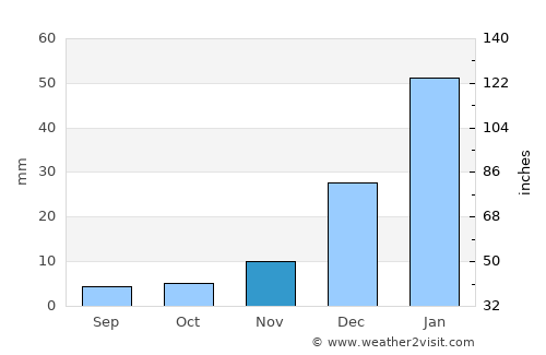 Newman average rain in November