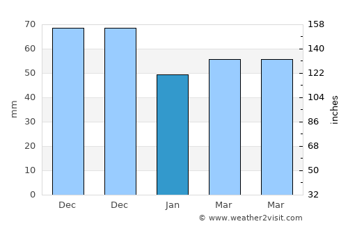 Newmarket average rain in January