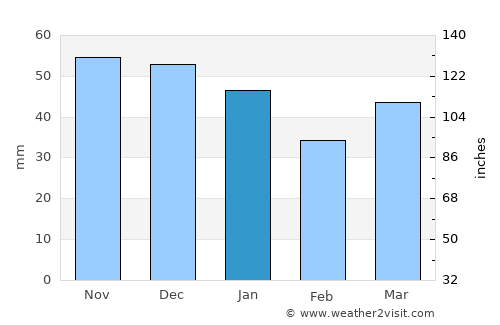 Newmarket average rain in January