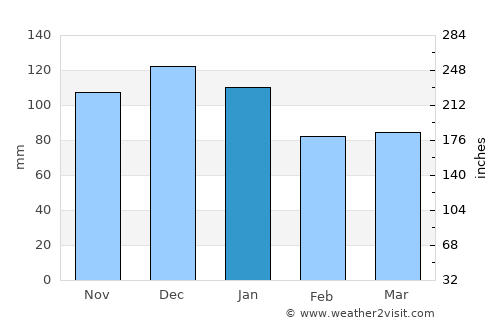 Newtown average rain in January
