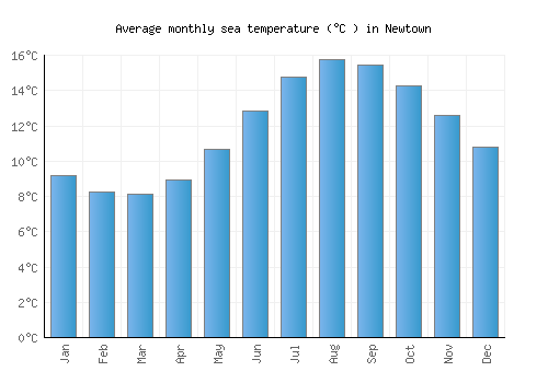 Newtown average sea temperature chart (Celsius)