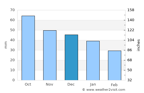 Neya average rain in December