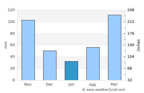 Ngora average rain in January