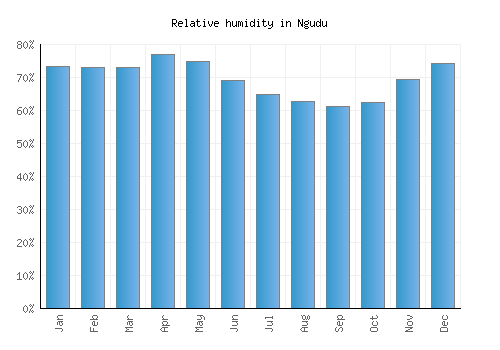 Ngudu relative humidity averages