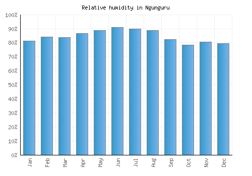 Ngunguru relative humidity averages