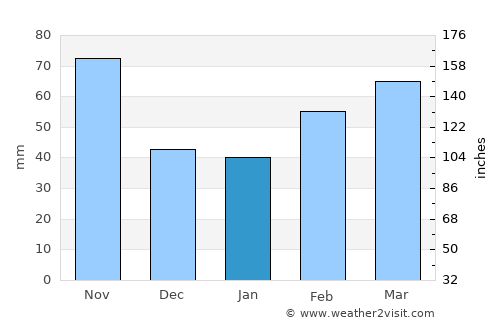 Nichelino average rain in January