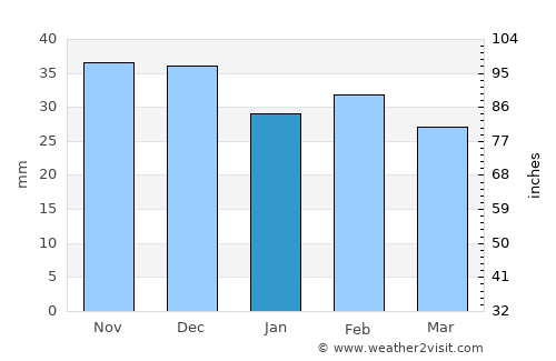 Niculiţel average rain in January