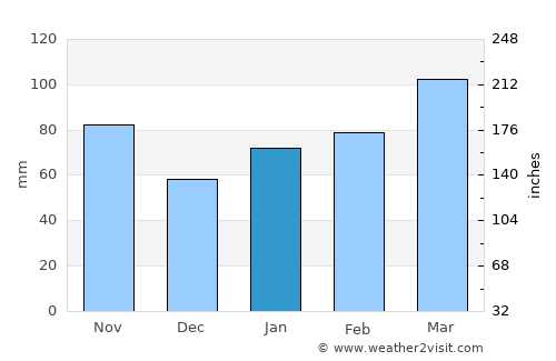 Niimi average rain in January