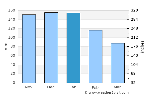 Niseko Town average rain in January