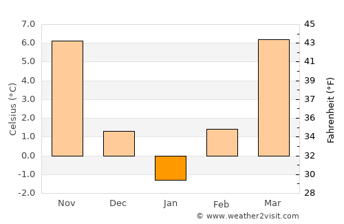 Niţchidorf average temperature in January