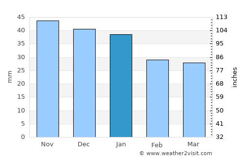 Nizhnekamsk average rain in January