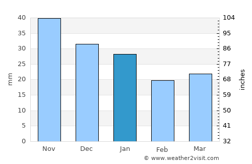 Nizhnesortymskiy average rain in January