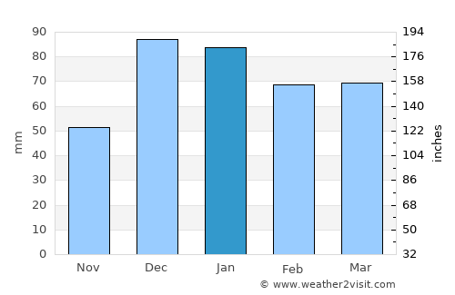 Nizip average rain in January