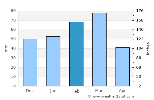 North Port average rain in February
