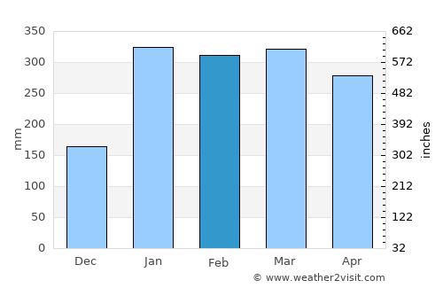 Nova Olinda do Norte average rain in February