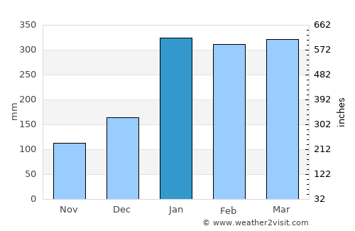 Nova Olinda do Norte average rain in January
