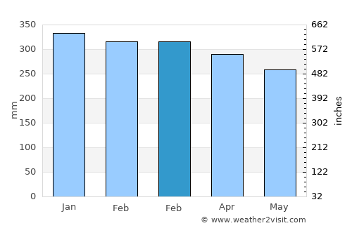 Novo Aripuanã average rain in February