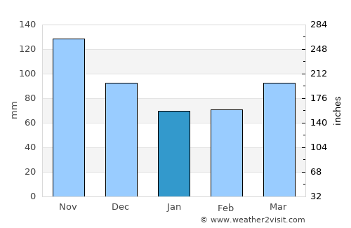 Novo Mesto average rain in January