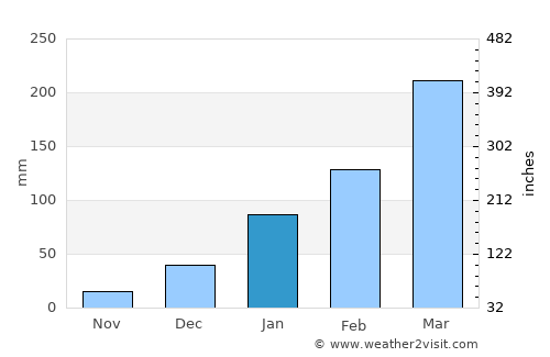 Novo Oriente average rain in January