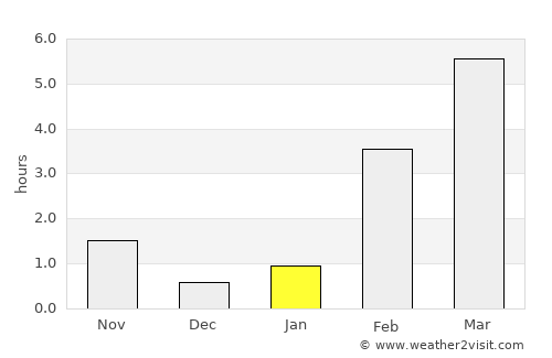 Noyabr'sk average rain in January