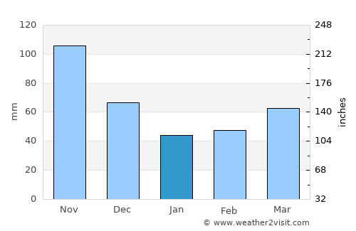 Nueva Bolivia average rain in January