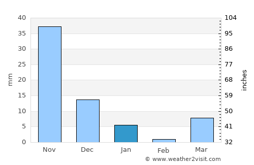 Nueva Palestina average rain in January