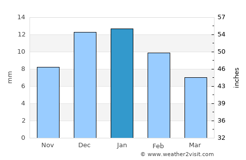 Nuevo Casas Grandes average rain in January