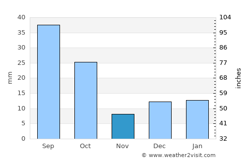 Nuevo Casas Grandes average rain in November