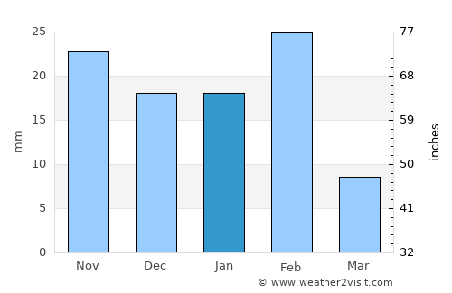 Nuevo Laredo average rain in January