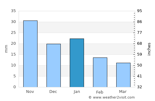 Nuevo Progreso average rain in January