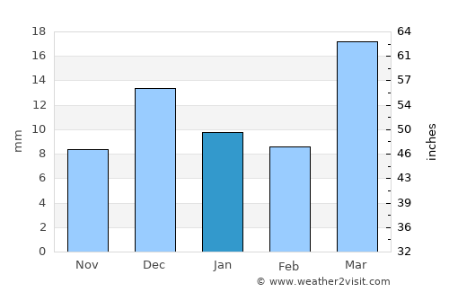 Nukus average rain in January