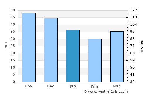 Nyasvizh average rain in January