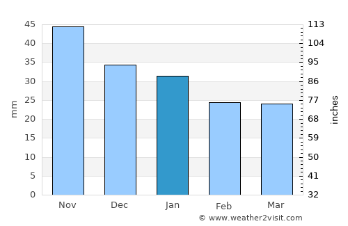 Nyazepetrovsk average rain in January