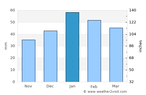 Nyngan average rain in January