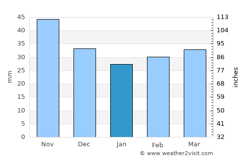 Nysa average rain in January