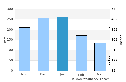 Nyūzen average rain in January
