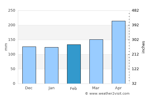 Nzega average rain in February