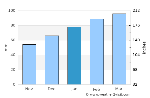 Ocala average rain in January