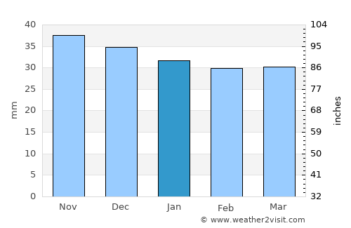 Ocna Sibiului average rain in January