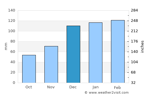 Oglethorpe average rain in December