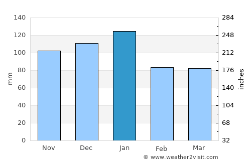 Orange Farm average rain in January