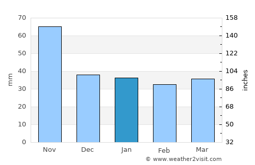 Orizaba average rain in January