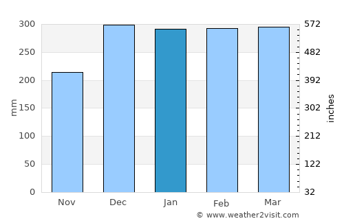 Ouro Preto do Oeste average rain in January