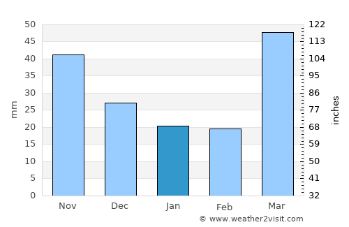 Owatonna average rain in January
