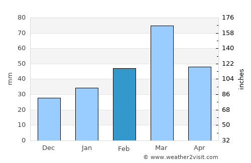 Pabbi average rain in February