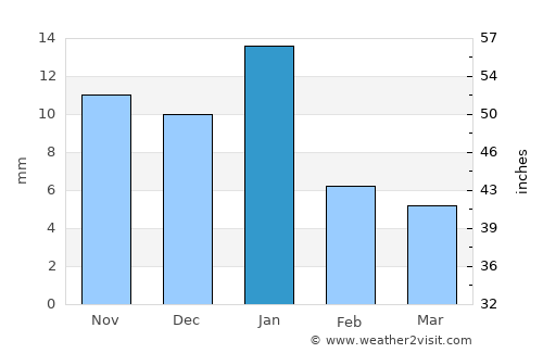Pabellón de Hidalgo average rain in January
